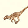 Hesperosuchus