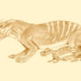 Oligokyphus, Kayentatherium