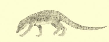 Protosuchus