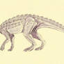 Bienosaurus