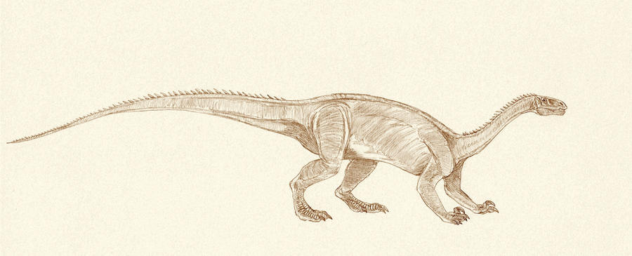 Anchisaurus