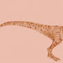 Eoraptor 1