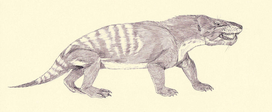 Cynognathus