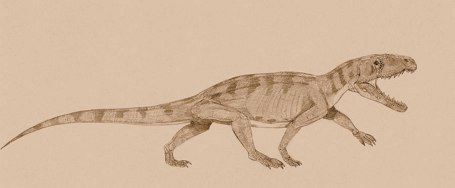 Vjushkovia by Kahless28 on DeviantArt