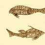 Remigolepis and Byssacanthus