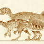 Psittacosaurus lujiatensis