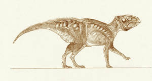 Liaoceratops jangzigouensis