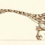 Velociraptora