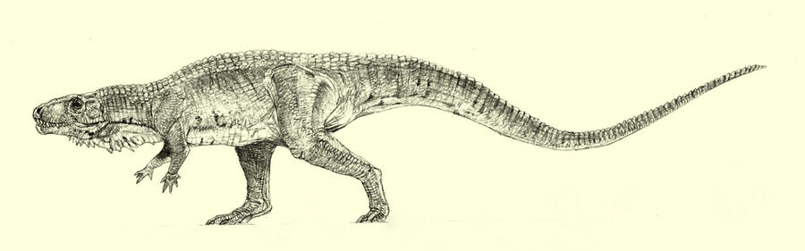 Poopasaurus Rex Poposaurus by Kahless28 on DeviantArt
