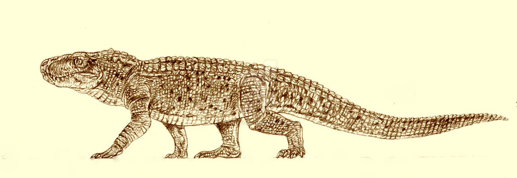 Baurusuchus Baurusuchus by Kahless28 on DeviantArt