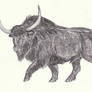 Bison priscus