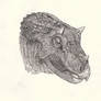 Triceratops 1