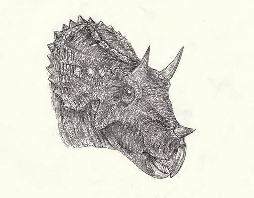 Triceratops 2