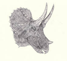 Triceratops 4