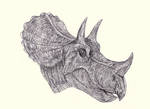 Tatankaceratops - Triceratops