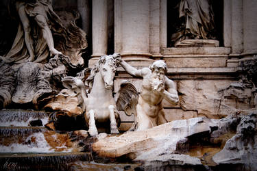 Trevi Fountain