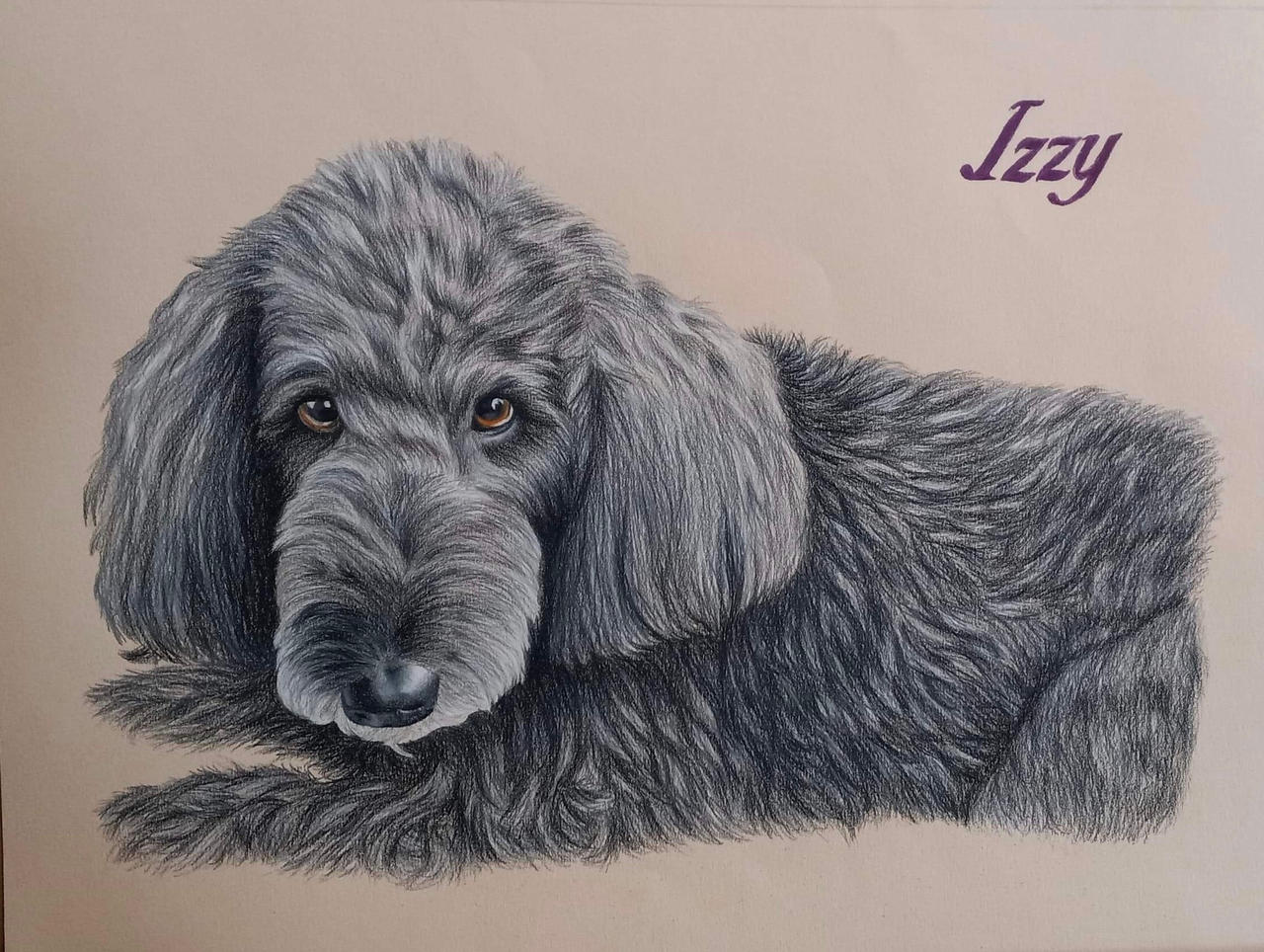 Color Izzy Izzy color pencil portrait 11x14 by Shanimar on DeviantArt