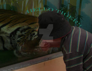 Hello There Mr Tiger Sir