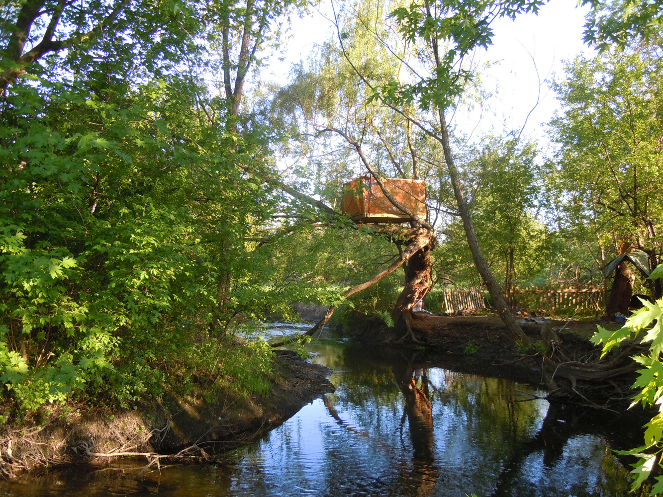 My Tree Fort