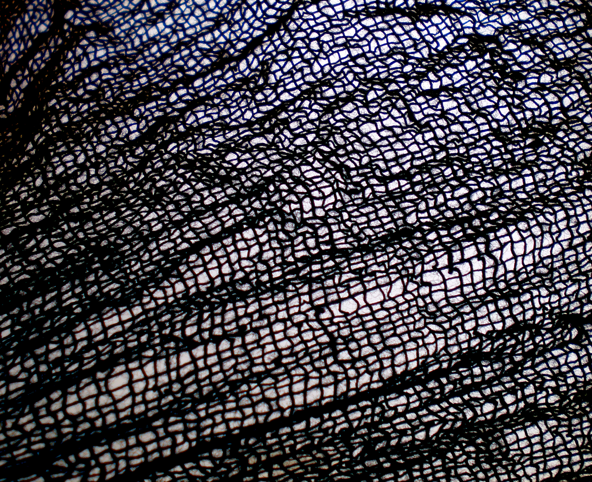 Old Netting