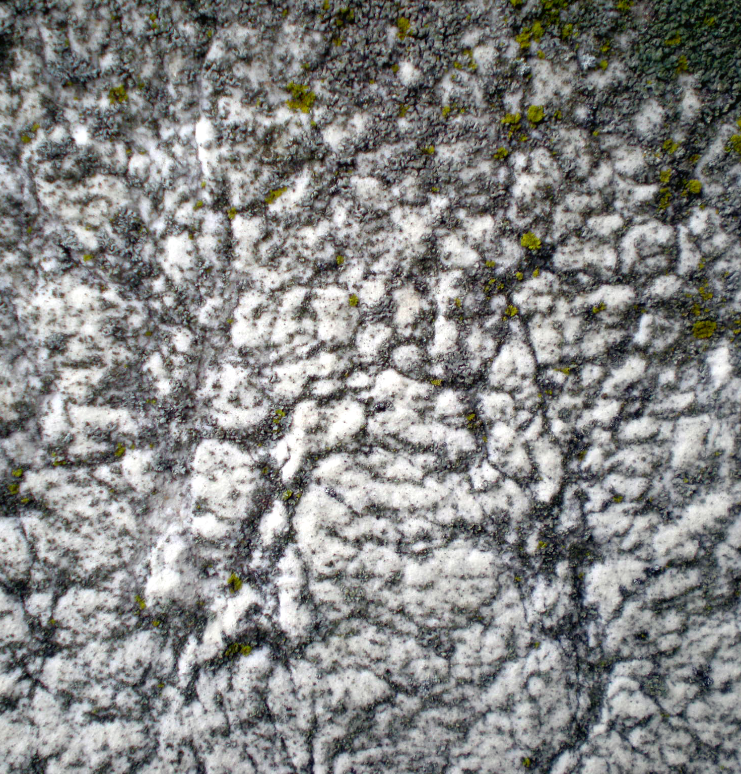 Weathered Headstone 1