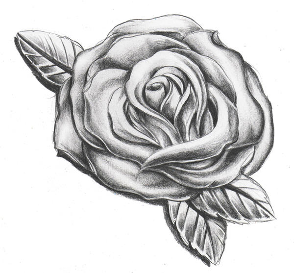 rose shading by WillemXSM on DeviantArt