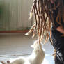 Cat and dreadlocks