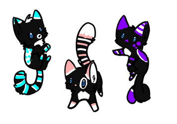 Black Kittys adopts