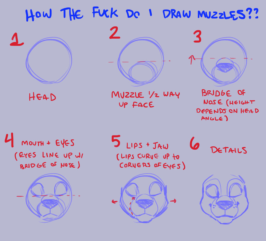 muzzle tutorial p3 by Warrioratheart on DeviantArt