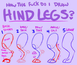 Leggy tutorial