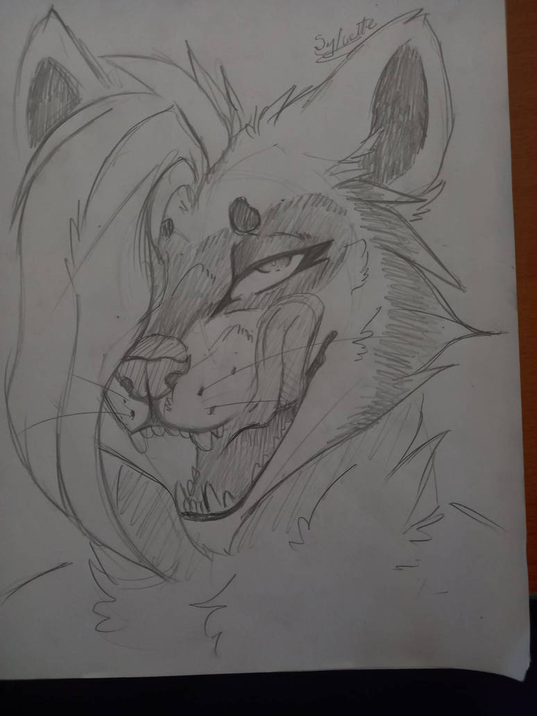 Evil Racoon Drawing First attempt of drawing a racoon. What do you thi by Bpanna23 on ...