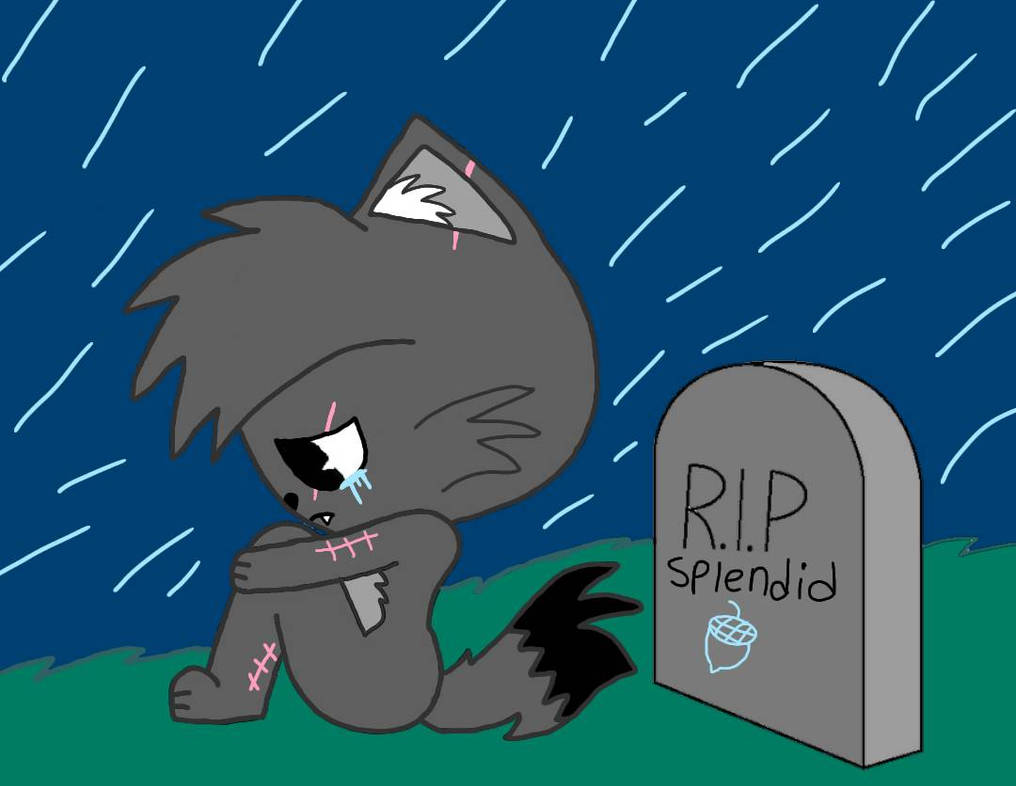 Rip Splendid by IzukuRav on DeviantArt