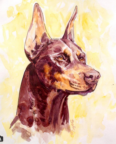 Doberman