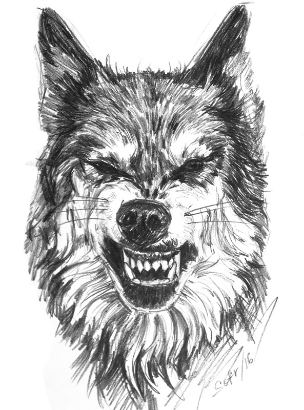 Wolf