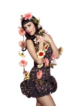 Katy Perry PNG HQ