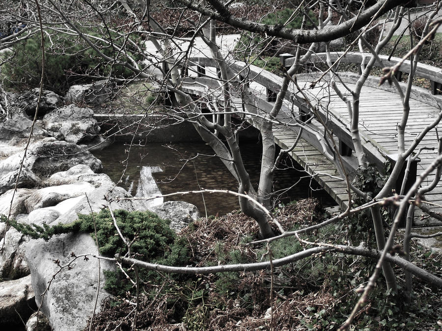 Japanese Bridge