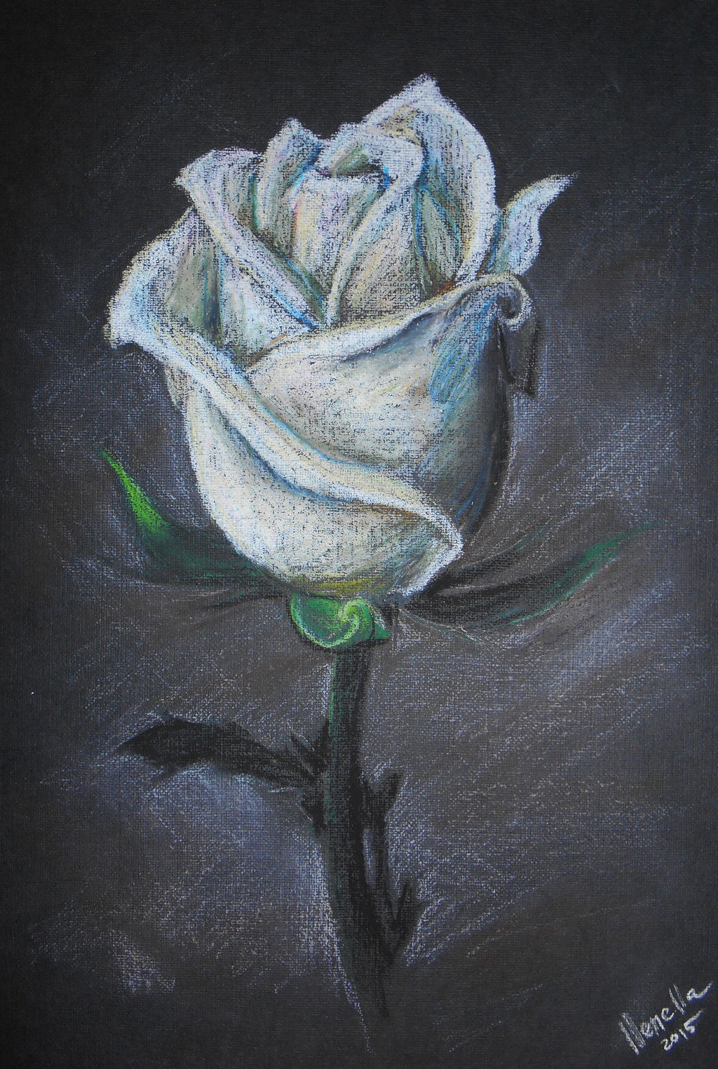 White Rose (oil pastel) by llenella on DeviantArt