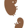 Moles