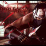 Ninja Gaiden Banner