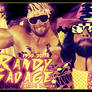 Randy Savage Banner