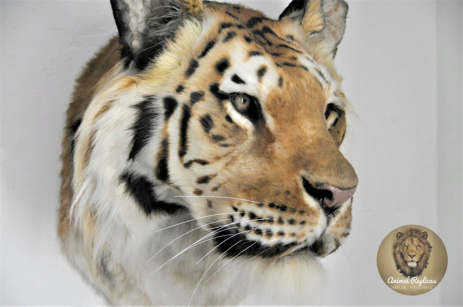 Tiger Head Replica (faux taxidermy) by AnimalReplicas on DeviantArt