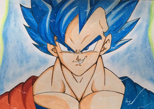 GOKU/VEGETA SSJ BLUE