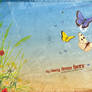 Fly away