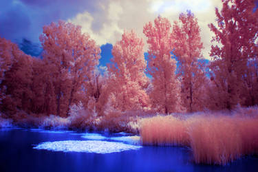 IR Lake - Red / Blue / White