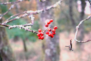 Can you feel the cold?!