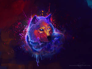 A Dashing Splash Of Color