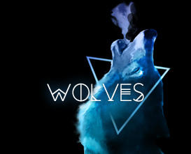 Wolf Chapter Header Wolves Header by KovoWolf on DeviantArt