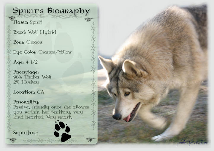 .:: Spirits Biography ::. by KovoWolf