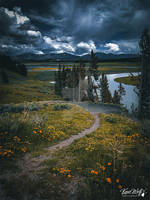 Hayden Valley - Yellowstone NP