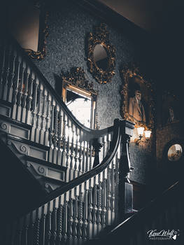 The Stanley Hotel - Stairs